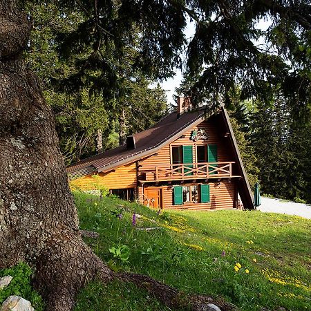 Chalet Alpinka Villa Cerklje na Gorenjskem Kültér fotó