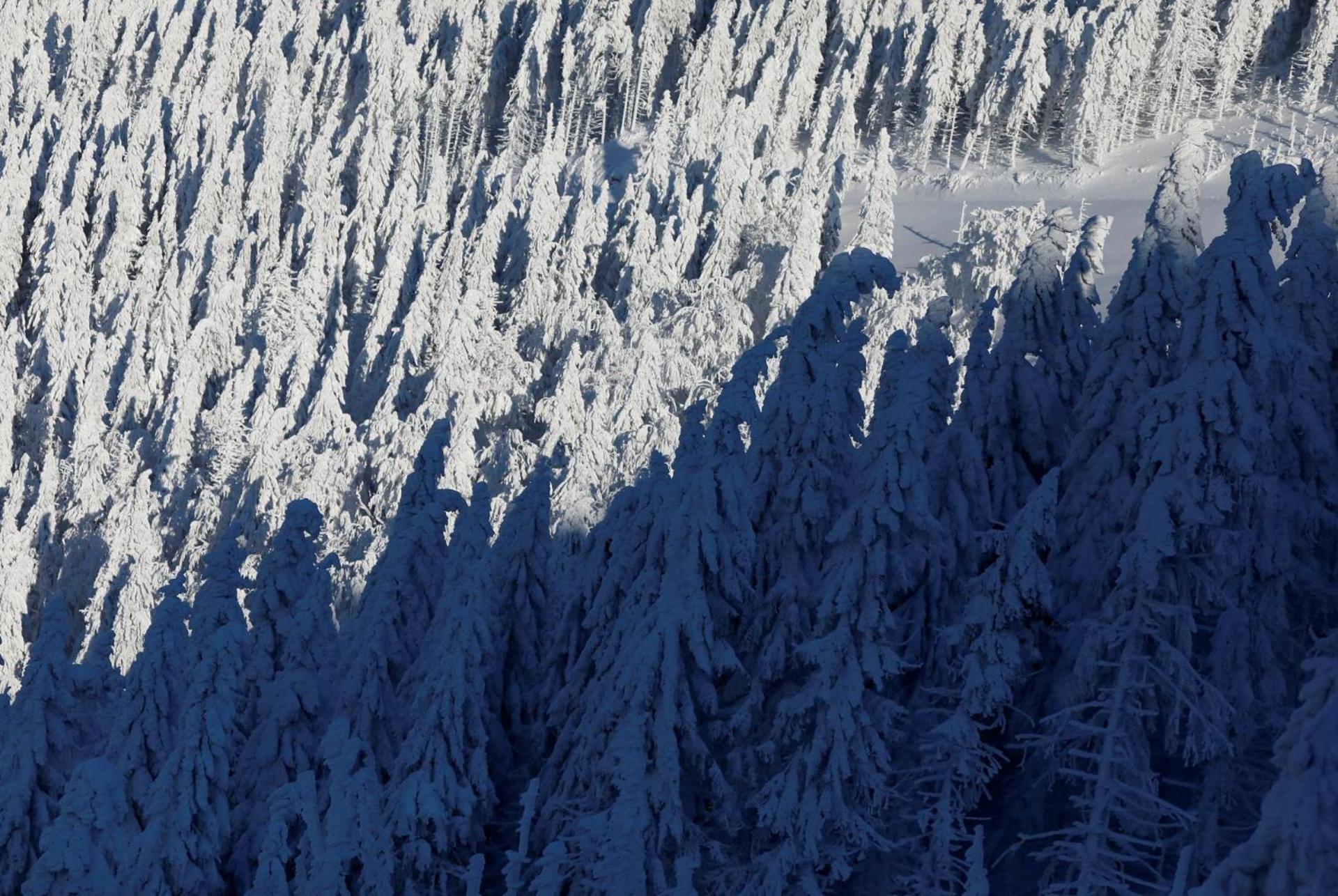 Chalet Alpinka Villa Cerklje na Gorenjskem Kültér fotó