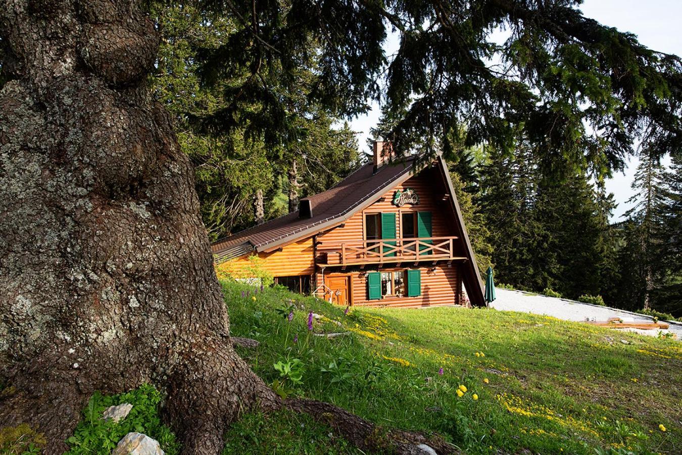 Chalet Alpinka Villa Cerklje na Gorenjskem Kültér fotó